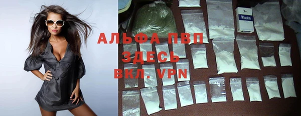 молекула духа Инсар