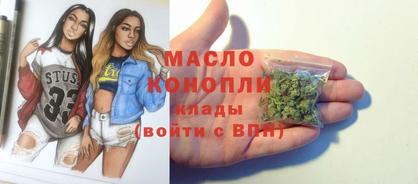 дживик Инта