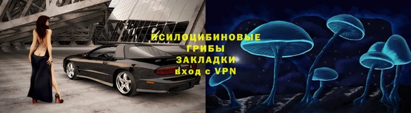 дживик Инта