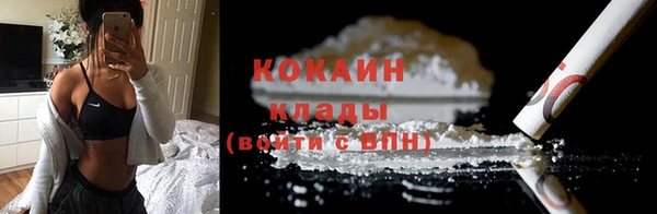 дживик Инта