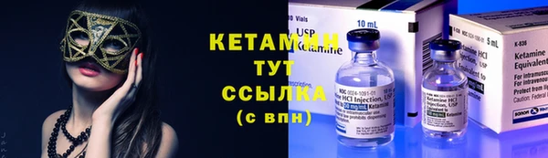 дживик Инта