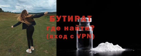 дживик Инта
