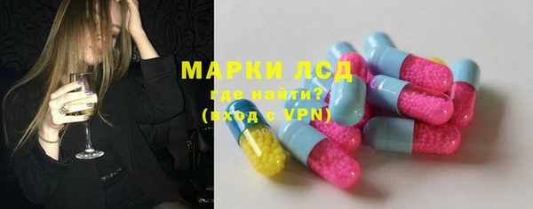 дживик Инта