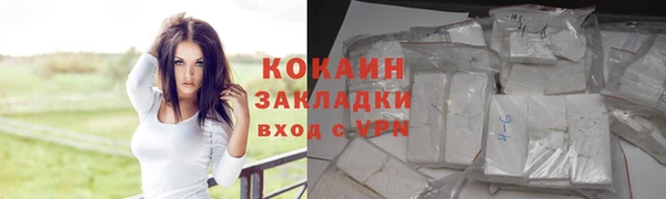 молекула духа Инсар