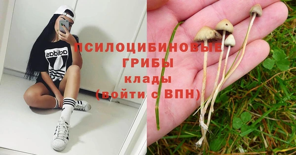 каннабис Иннополис