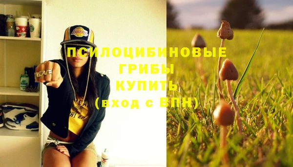 дживик Инта