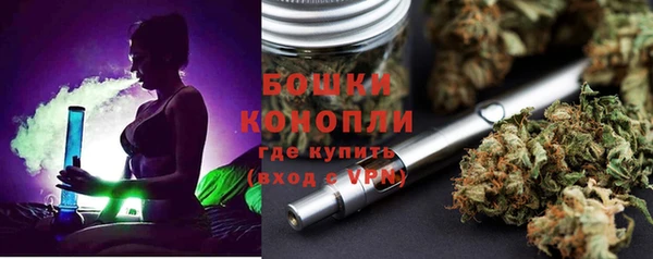 дживик Инта